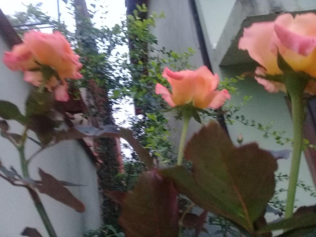 Chale Da Lu Villa Araquari Kültér fotó